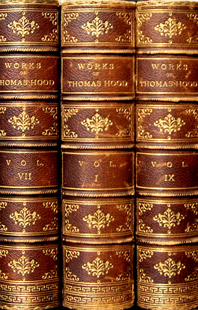 Set of leather bound 19th century books